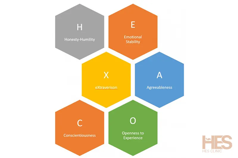 تست HEXACO Model of Personality Structure Personality Inventory